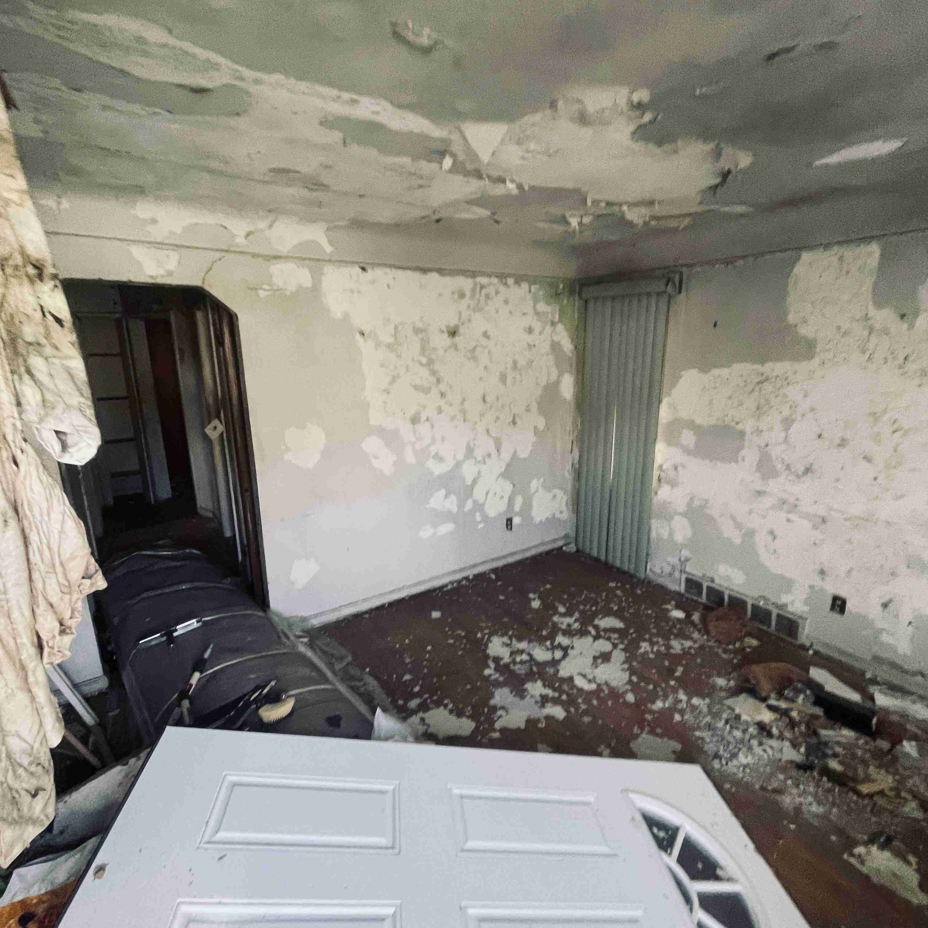 4277 TUXEDO (26).jpg